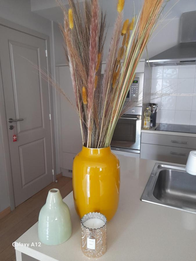 Appartement L'ane *